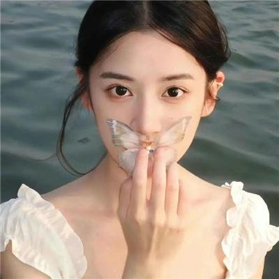 全员嫌疑人
